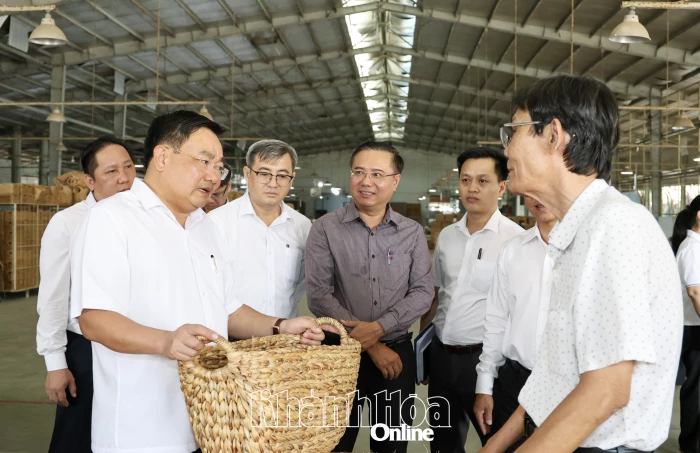 Phó Chủ tịch UBND tỉnh Trịnh Minh Hoàng đến thăm, làm việc tại một số hợp tác xã