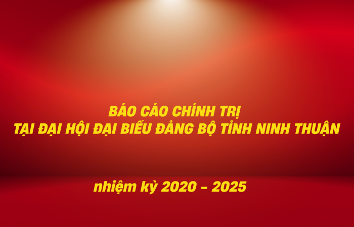 BÁO CÁO CHÍNH TRỊ ĐẢNG BỘ TỈNH NINH THUẬN (nhiệm kỳ 2020-2025)
