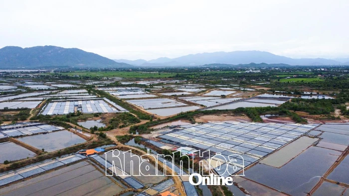 Dự án Khu Công nghiệp Dốc Đá Trắng: Nỗ lực giải phóng mặt bằng 