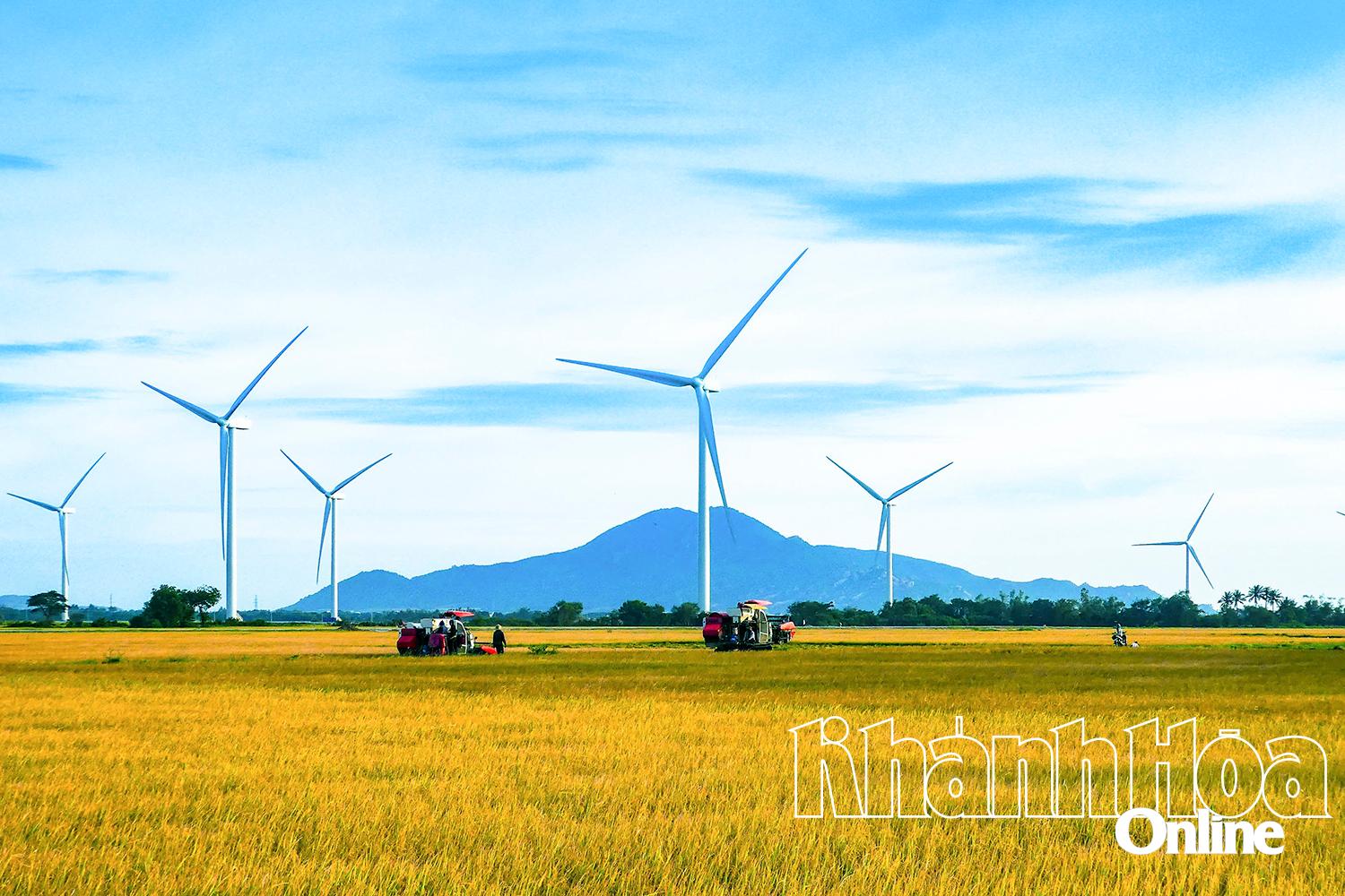 Dam Nai Wind Power. Photo: Tran Duy