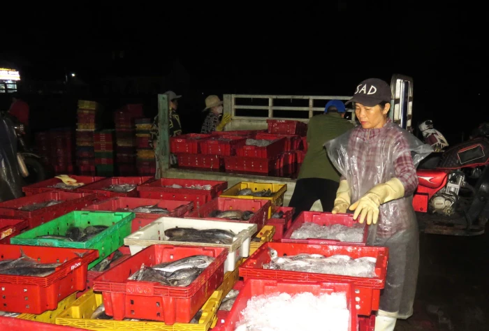 7 tháng, sản lượng thủy sản của xã Vạn Thắng thực hiện hơn 1.400 tấn