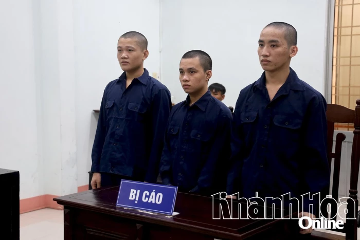 Đánh người định bắt nạt bạn gái, 3 thanh niên lãnh án