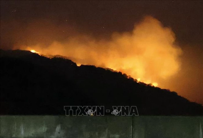 Trí tuệ nhân tạo: Công nghệ AI giúp dự báo cháy rừng chính xác hơn