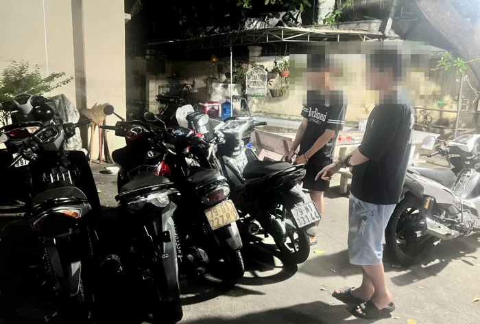 Triệt phá nhóm thanh thiếu niên gây ra nhiều vụ trộm xe máy