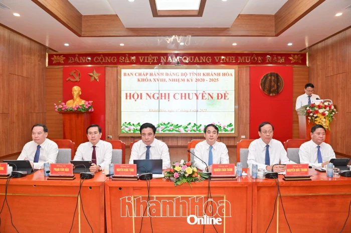 Hội nghị Tỉnh ủy chuyên đề 