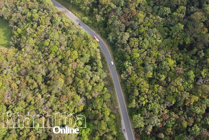 Hướng tới Đại hội Đại biểu Đảng bộ tỉnh Khánh Hòa lần thứ I, nhiệm kỳ 2025 - 2030: Bảo vệ rừng để phát triển bền vững