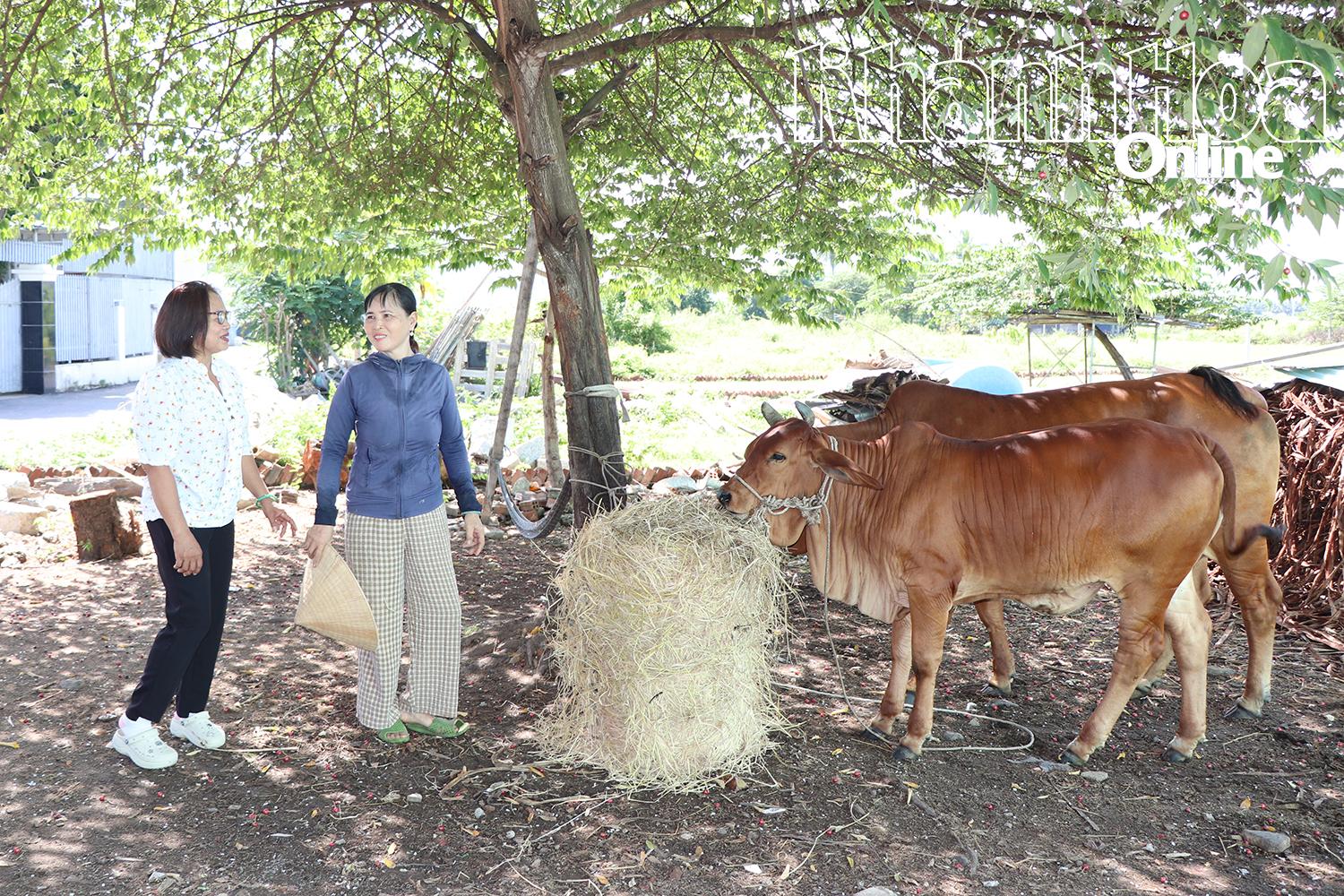 Bà Ngô Thị Xuân Triêm (bên trái) - Tổ trưởng Tổ tiết kiệm và vay vốn thôn Lạc Lợi (xã Diên Lạc) thăm hỏi tình hình sản xuất của một thành viên trong tổ.