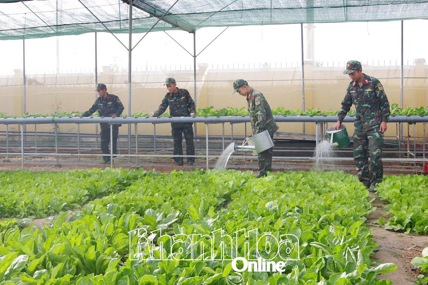 Cán bộ, chiến sĩ lực lượng vũ trang tỉnh tích cực tăng gia sản xuất.