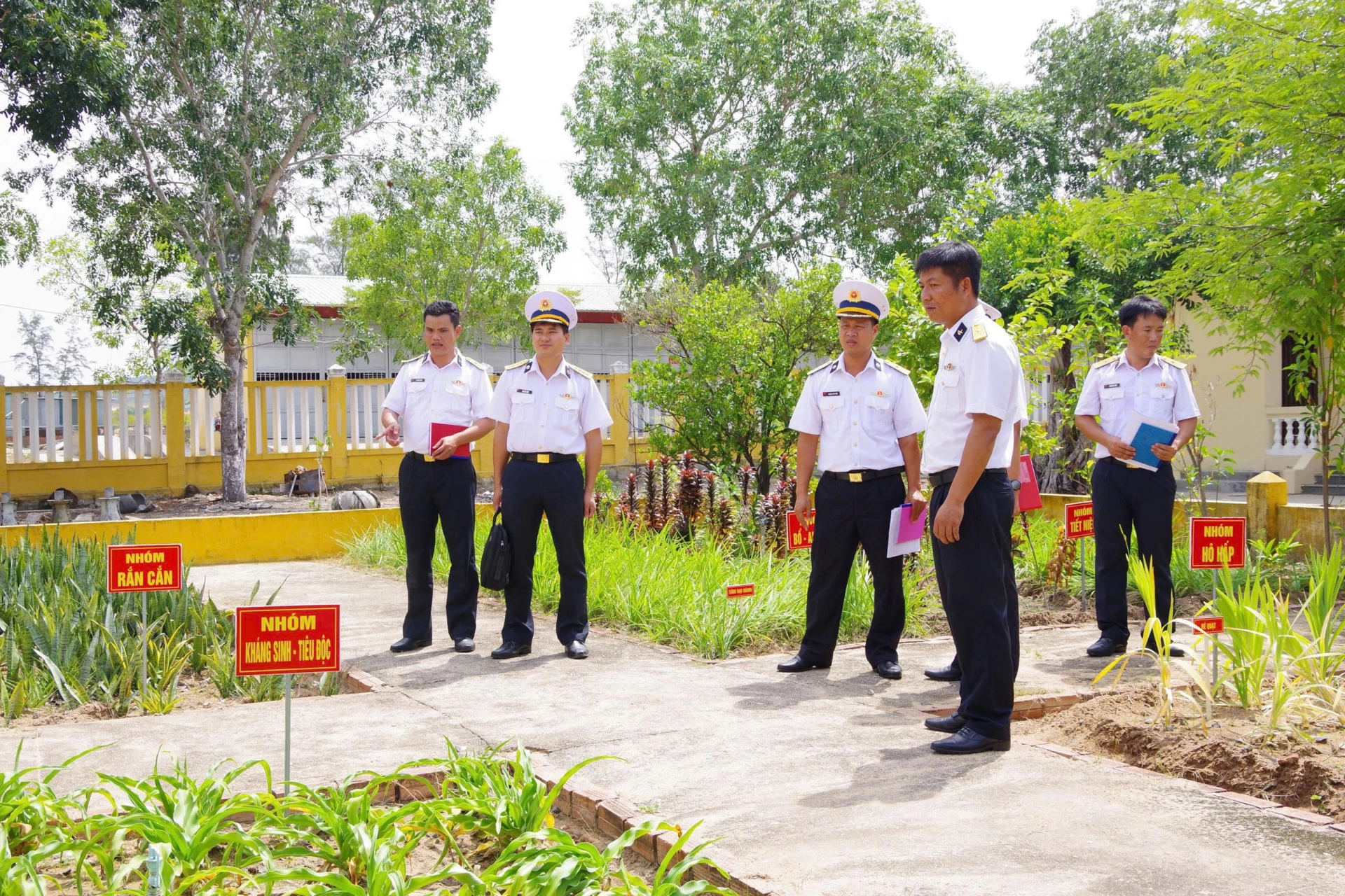 Chấm điểm thi vườn thuốc Nam tại các đơn vị.