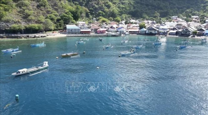 ASEAN đẩy mạnh phát triển kinh tế xanh lam