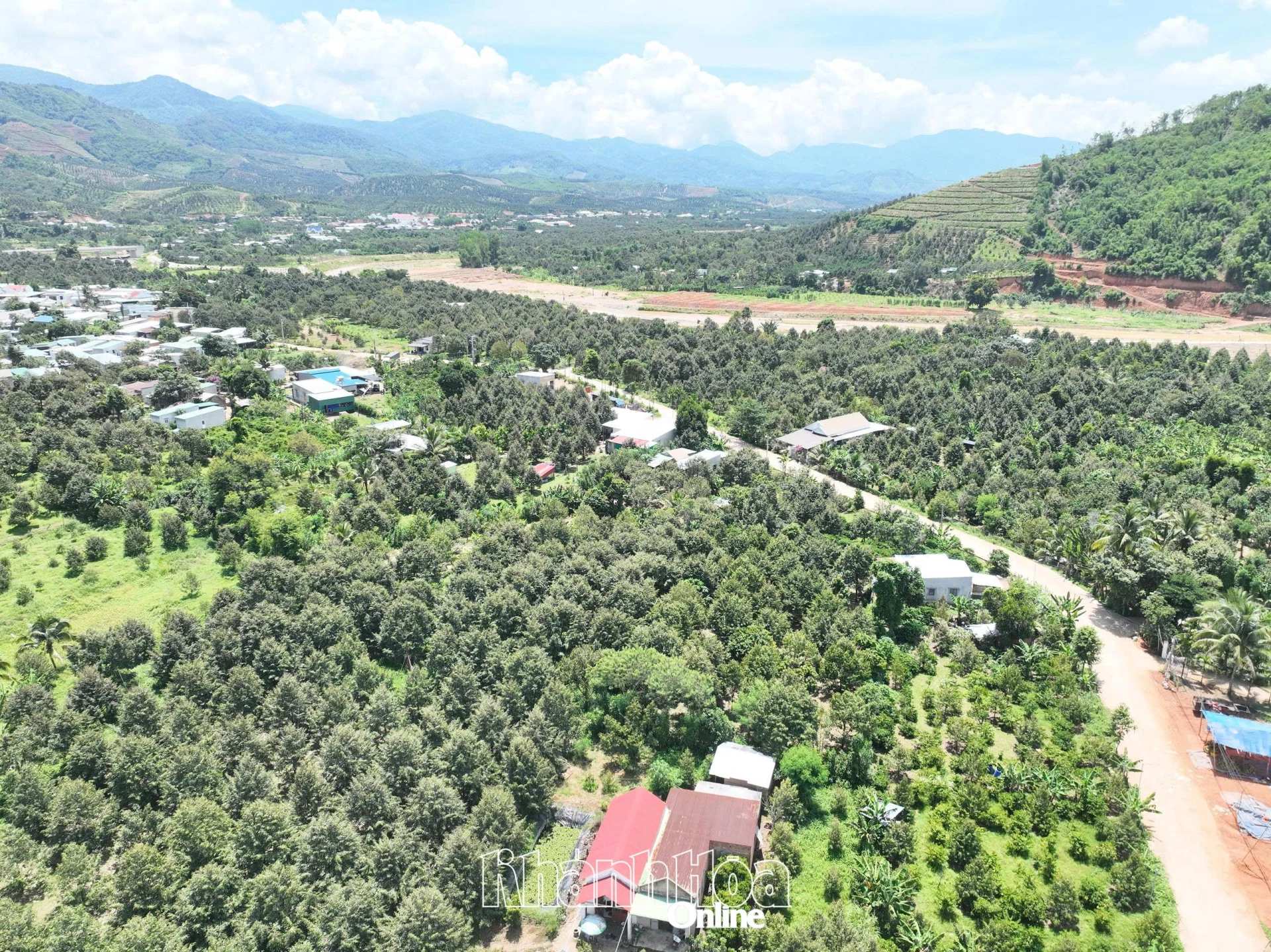 Những con đường bê tông vừa hoàn thành
băng qua khu vườn sầu riêng của người dân tại xã Tây Khánh Sơn.