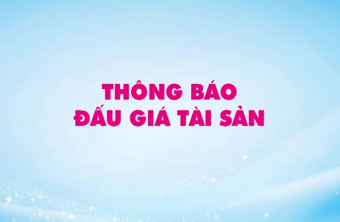 Công ty Đấu giá Hợp danh Vạn Thiên Phước thông báo đấu giá tài sản
