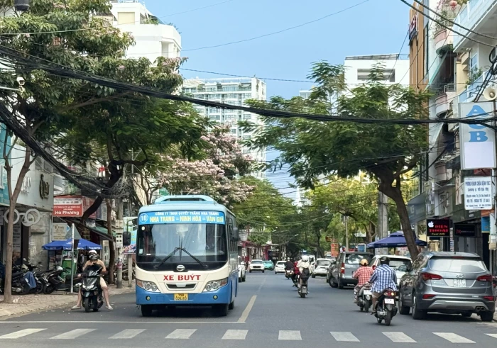 Hỗ trợ vận tải hành khách công cộng bằng xe buýt