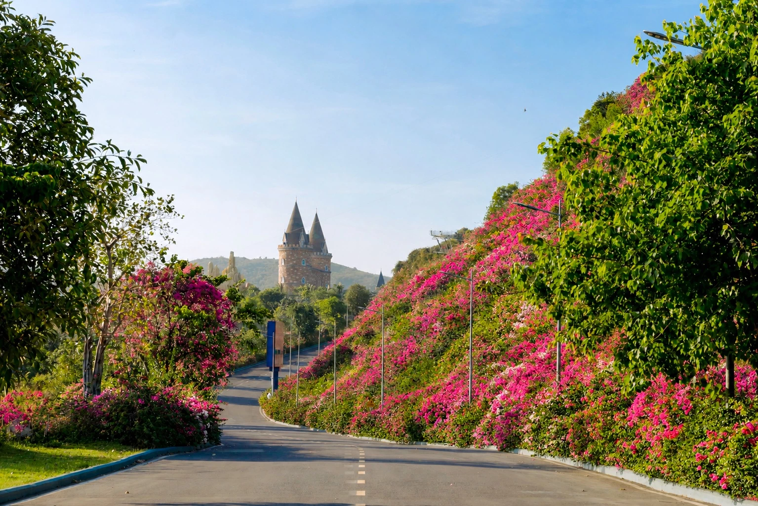 Con đường hoa giấy huyền thoại, nơi lưu giữ ký ức của nhiều thế hệ du khách trên đảo Hòn Tre.