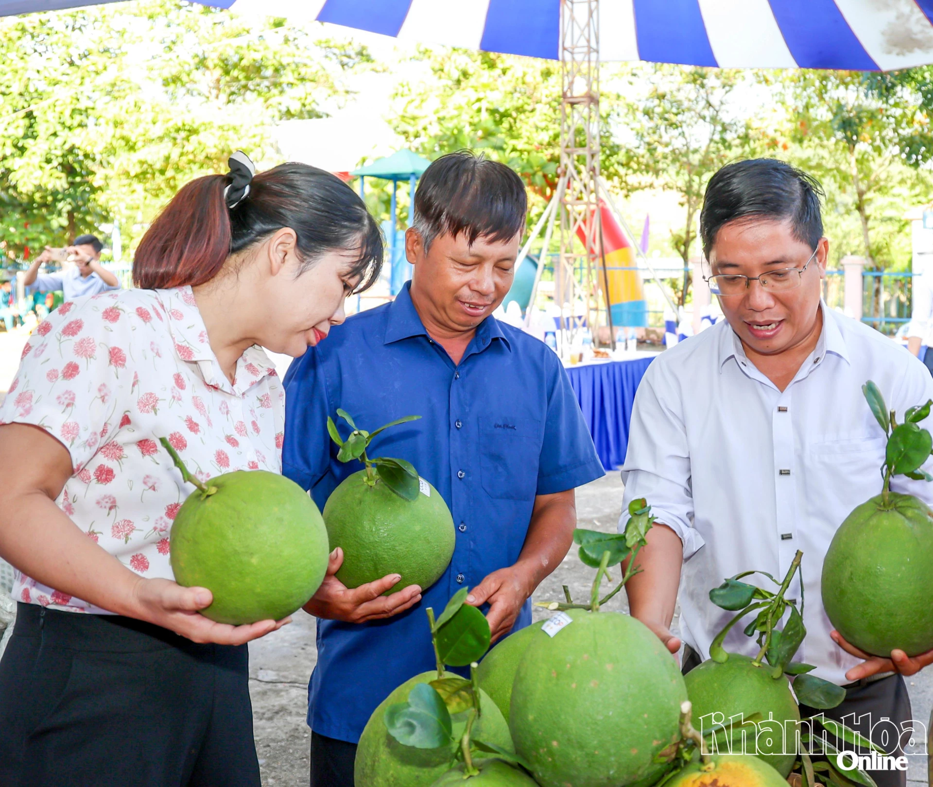 Bưởi Hiệu Linh là một trong những thương hiệu bưởi da xanh tiêu biểu
của vùng trồng bưởi Khánh Vĩnh.