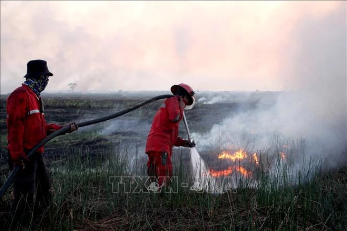 Indonesia tạm dừng hoạt động leo núi tại 9 vườn quốc gia vì cháy rừng