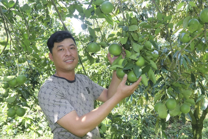 Xã Khánh Vĩnh: Nâng tầm giá trị nông sản