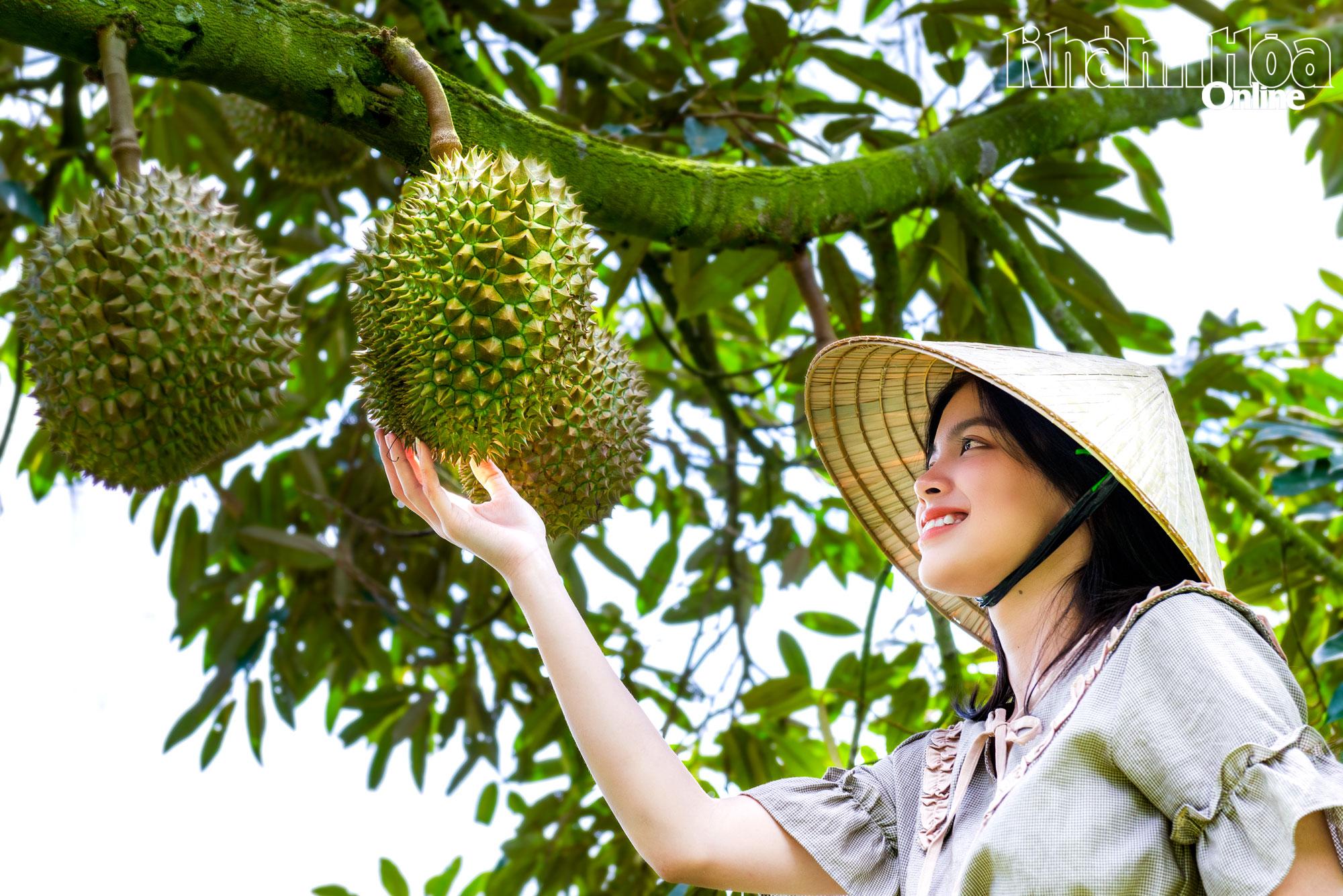 Du khách luôn thích thú khi khám phá các nhà vườn tại xã Khánh Sơn. (Ảnh do địa phương cung cấp)