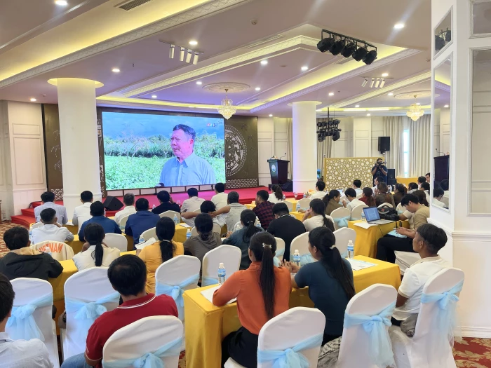 Hơn 80 đại biểu tìm hiểu về thực trạng, giải pháp canh tác cây sầu riêng theo hướng bền vững