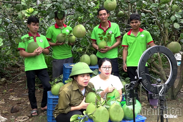 Tăng cường bảo vệ quyền sở hữu trí tuệ trên môi trường số