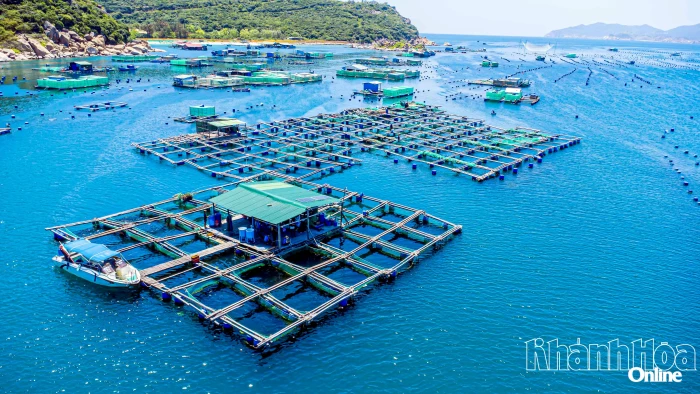 Hiến kế, định hướng mô hình phát triển