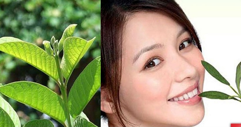 Mẹo chữa hôi miệng cực hiệu quả từ những thực phẩm dễ kiếm