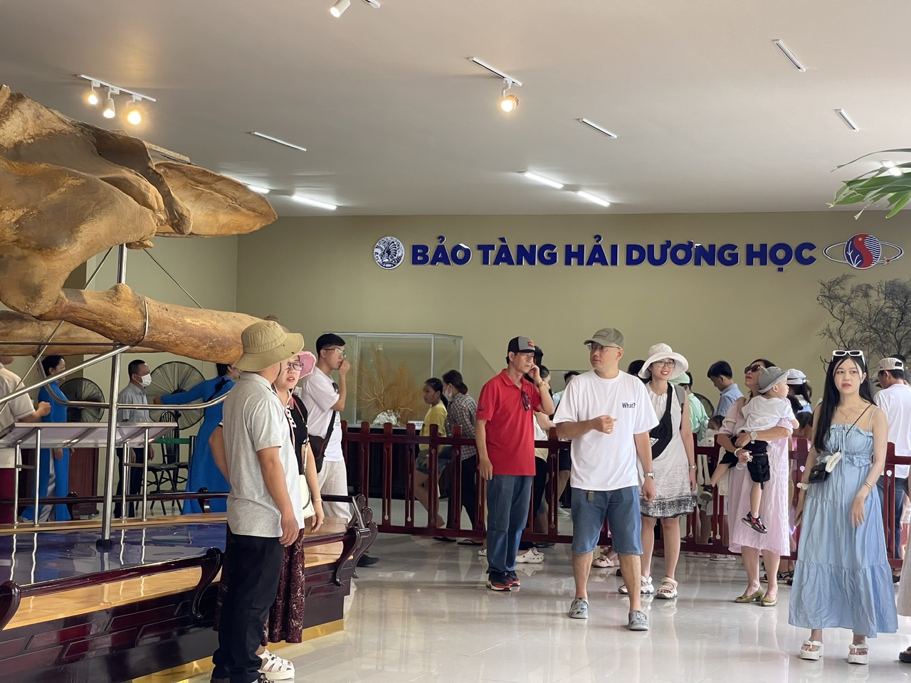 Bên cạnh các khu vui chơi, nhiều người dân và du khách lựa chọn tham quan, tìm hiểu về các loài sinh vật biển và các mẫu vật lớn trưng bày tại Bảo tàng Hải dương học 

