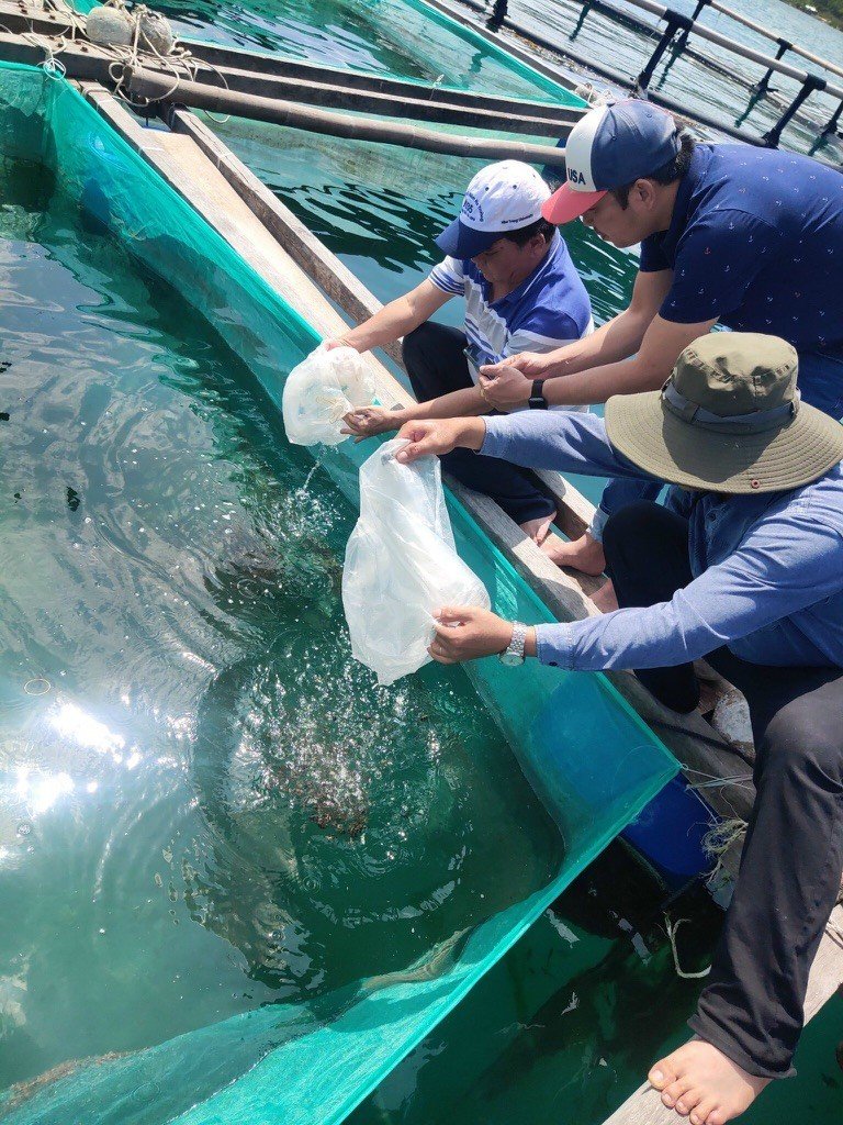 Viện Nghiên cứu nuôi trồng thủy sản III: Bảo tồn nhiều nguồn gen thủy sản