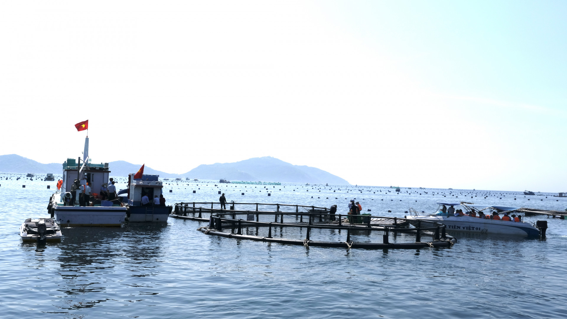Triển khai thí điểm mô hình nuôi biển công nghệ cao tại vùng biển xã Cam Lập, TP. Cam Ranh. Ảnh: THANH LONG