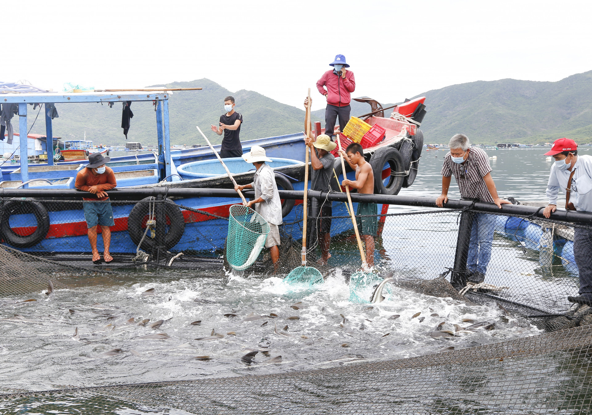 Ngư dân huyện Vạn Ninh nuôi cá trên biển trong lồng HDPE.