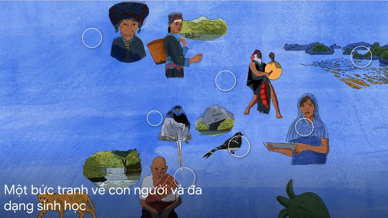 Khám phá thiên nhiên và văn hóa đất Việt qua Vibrant Vietnam