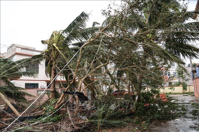 Trung Quốc: Huy động mọi nguồn lực khắc phục hậu quả của siêu bão Yagi