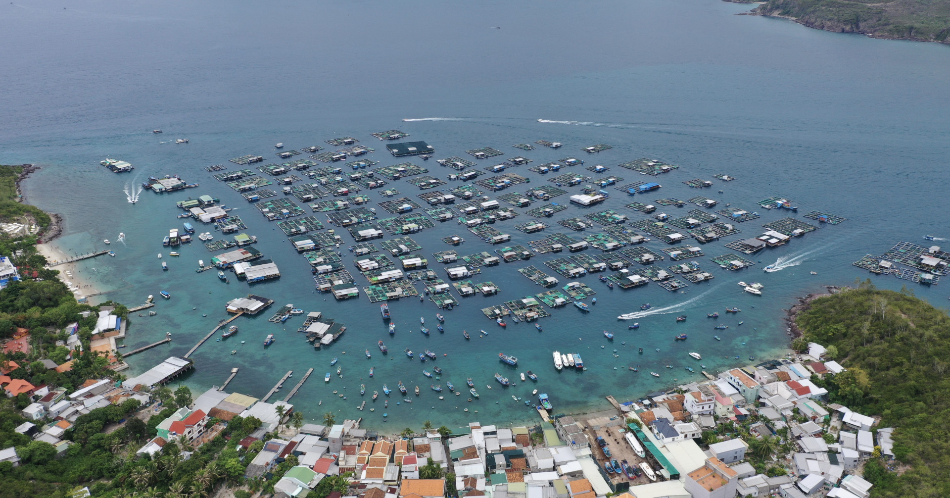 Lồng bè nuôi thủy sản khu vực đảo Trí Nguyên (vịnh Nha Trang). 