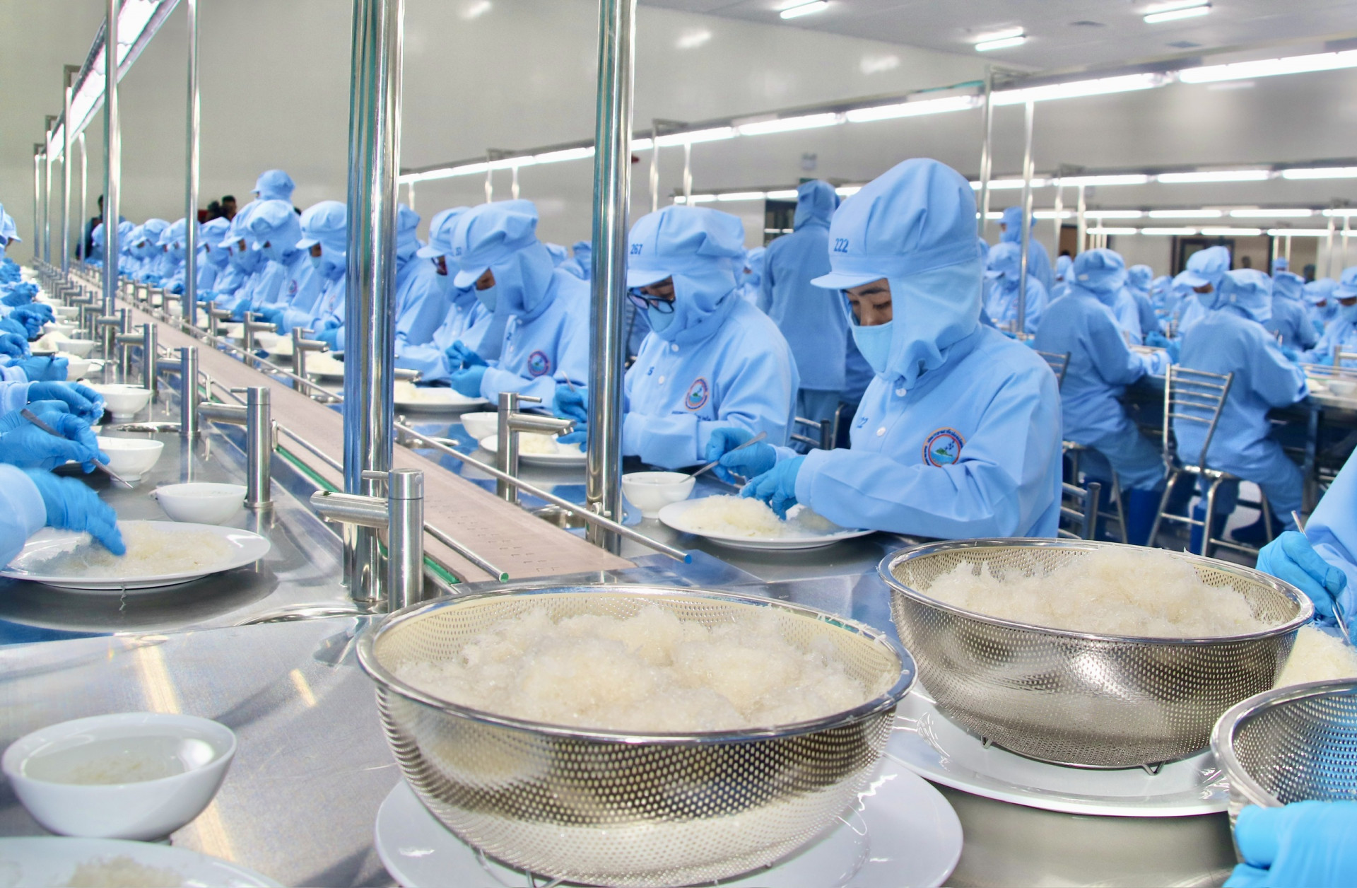 Production at Khanh Hoa Salanganes Nest Joint Stock Company.