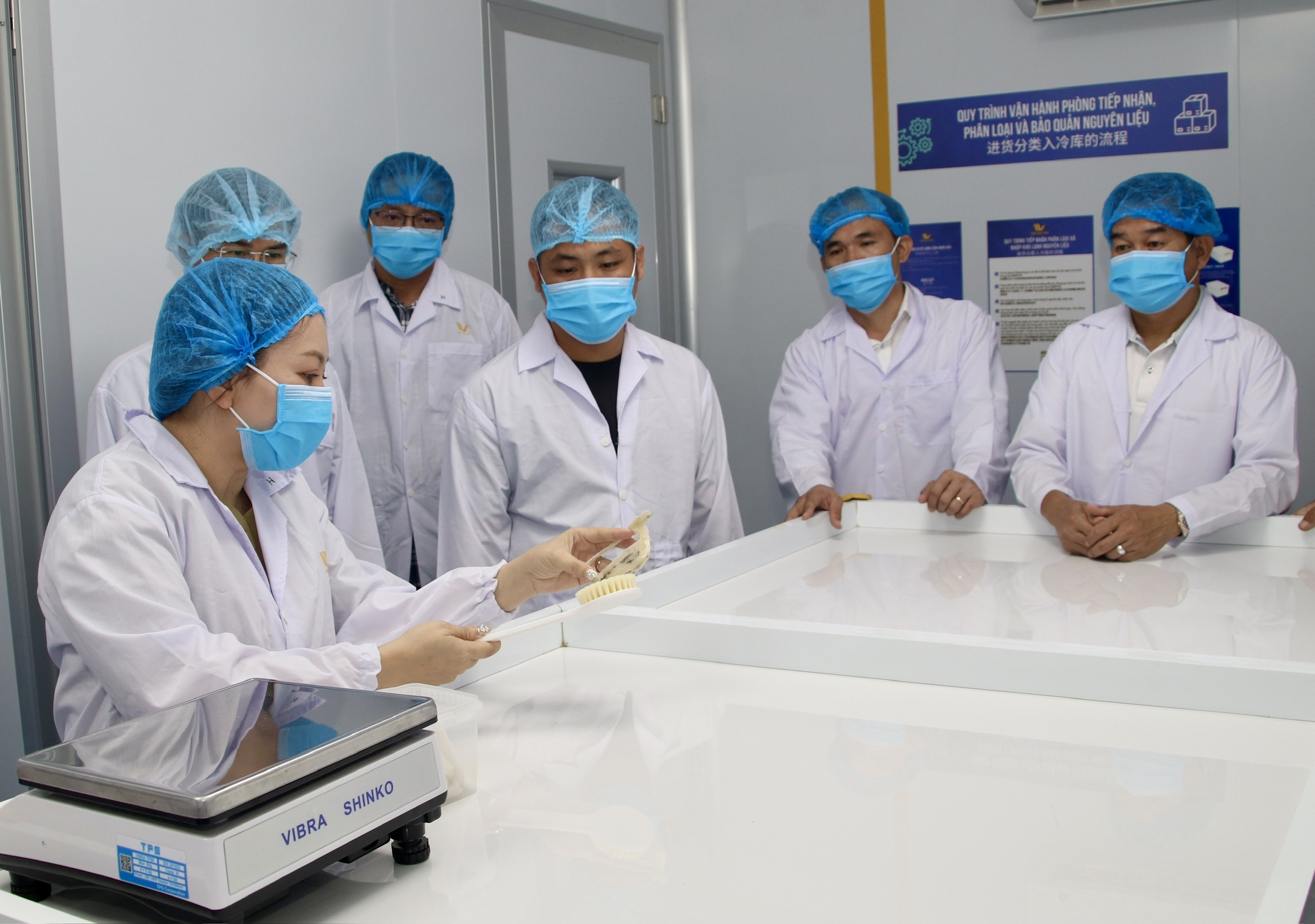 Doanh nghiệp yến sào Đắk Lắk tìm cơ hội hợp tác với Hải Yến Nha Trang