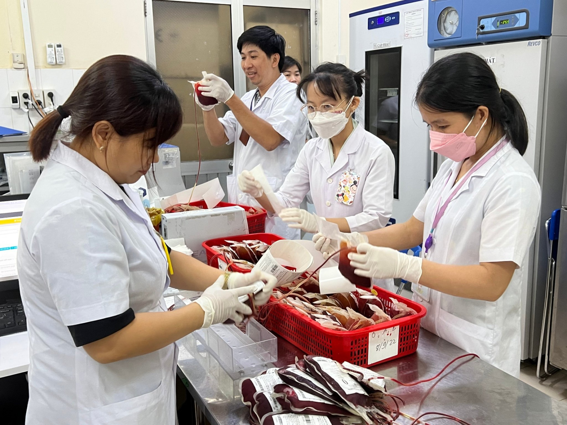 Những  người mắc  bệnh Thalassemia nặng  phải  phụ  thuộc vào truyền  máu (sàng  lọc máu  tại Trung tâm Huyết học - Truyền  máu tỉnh)