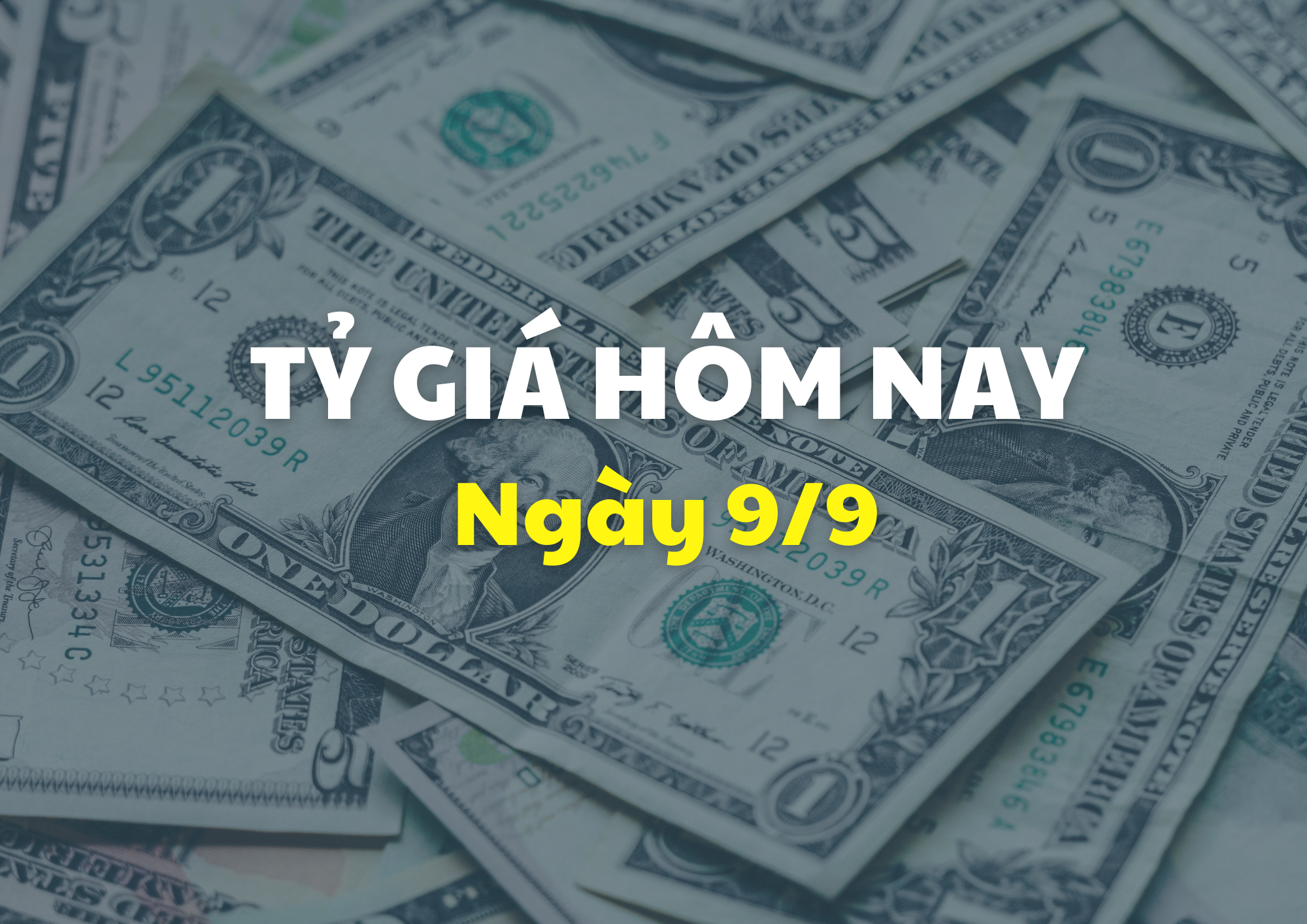 Tỷ giá hôm nay 9/9: Đồng USD và NDT đồng loạt giảm mạnh