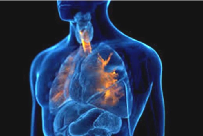 Robot siêu nhỏ giúp đưa lượng thuốc chính xác vào cơ thể