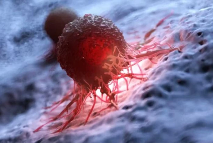 Phát triển loại protein mới có khả năng đánh dấu tế bào ung thư