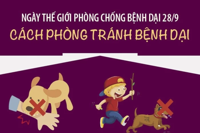 Cách phòng tránh bệnh dại