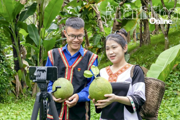 Các hợp tác xã vùng đồng bào dân tộc thiểu số và miền núi: Ứng dụng khoa học, công nghệ và chuyển đổi số