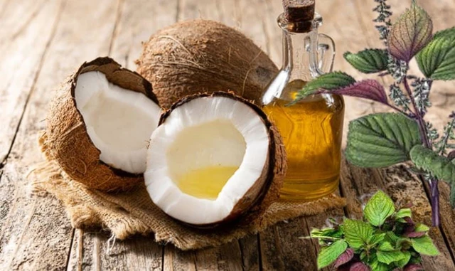 Phương pháp làm trắng da mà bạn nên biết là mặt nạ tía tô kết hợp dầu dừa với cách làm đơn giản mà hiệu quả.