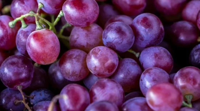 Công dụng ít biết của lớp phấn trắng trên quả nho