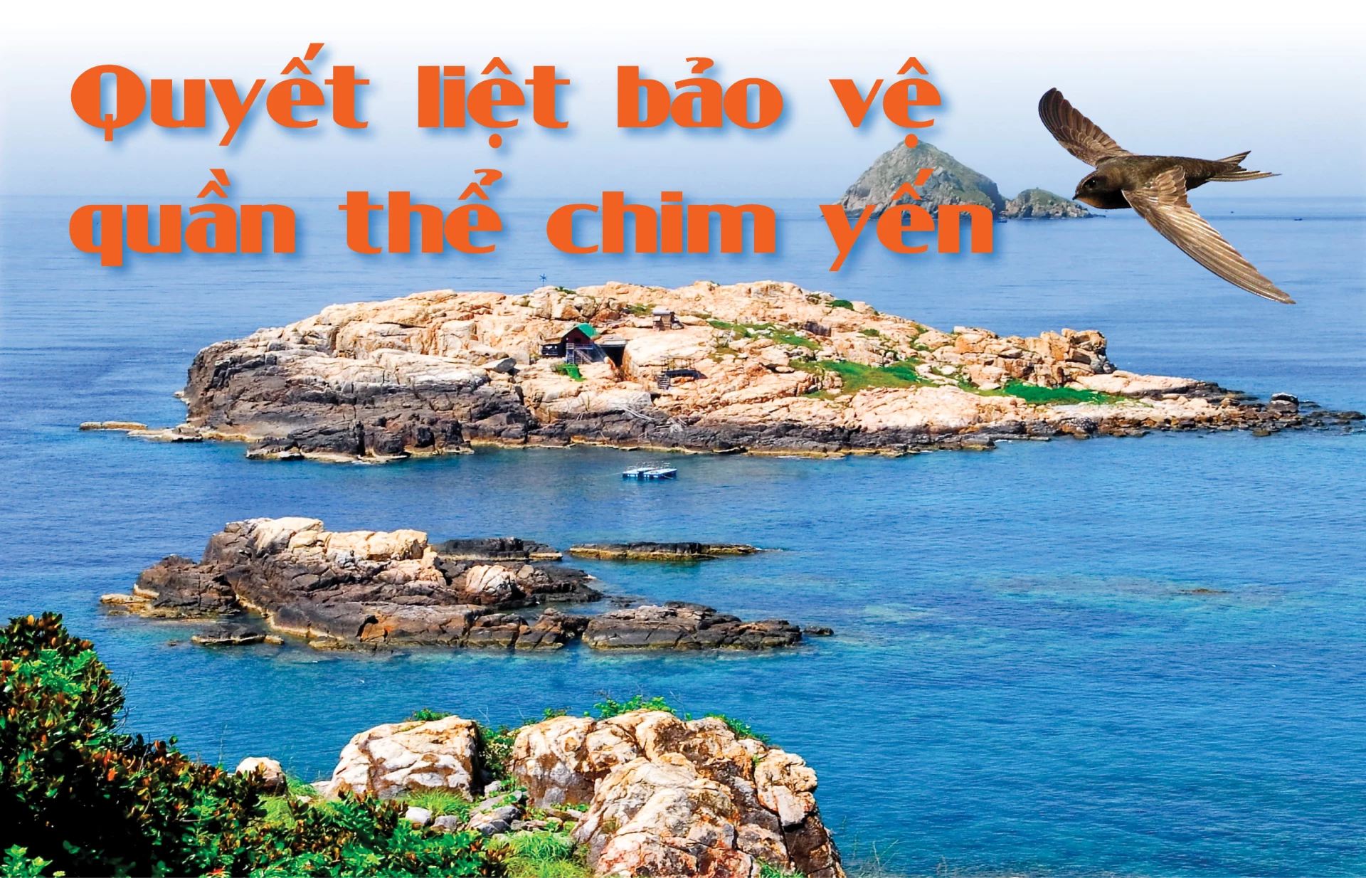 Emagazine: Quyết liệt bảo vệ quần thể chim yến -  Kỳ 1: Tài nguyên quý giá và mối nguy rình rập