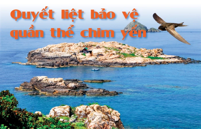 Emagazine: Quyết liệt bảo vệ quần thể chim yến -  Kỳ 1: Tài nguyên quý giá và mối nguy rình rập