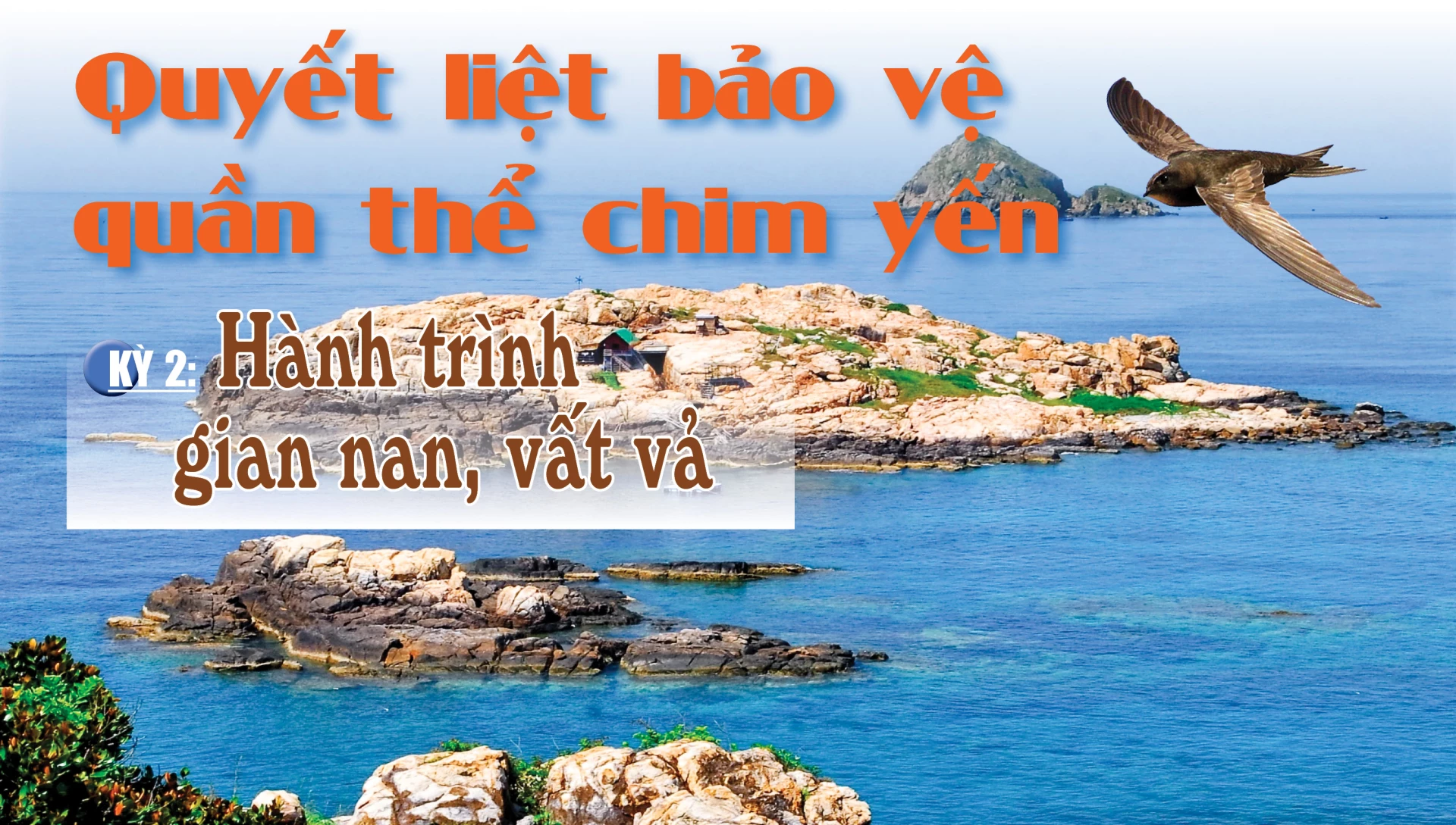 Emagazine: Quyết liệt bảo vệ quần thể chim yến - Kỳ 2: Hành trình gian nan, vất vả