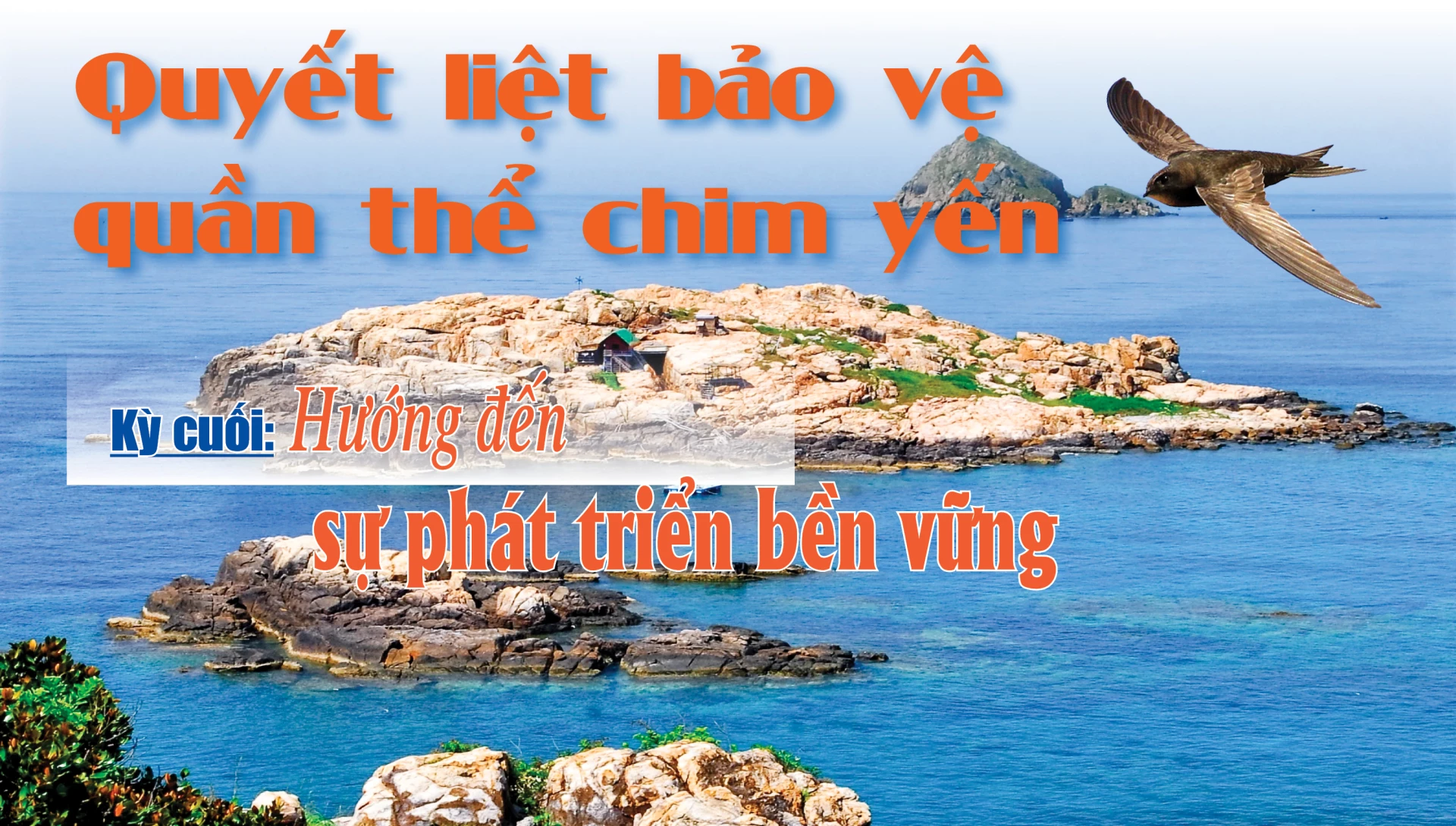 Emagazine: Quyết liệt bảo vệ quần thể chim yến - Kỳ cuối: Hướng đến sự phát triển bền vững