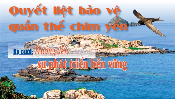 Emagazine: Quyết liệt bảo vệ quần thể chim yến - Kỳ cuối: Hướng đến sự phát triển bền vững