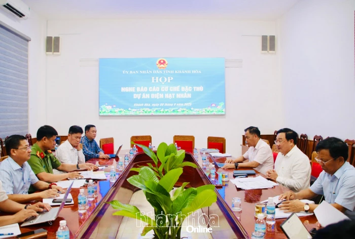 Đề xuất thêm một số chính sách đặc thù cho các dự án điện hạt nhân