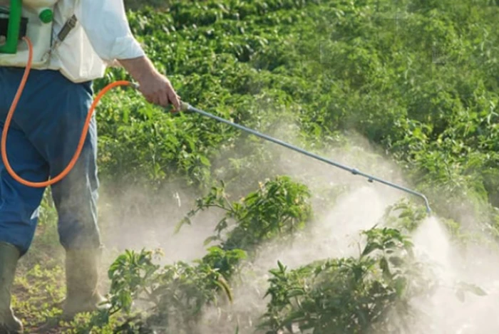 Cảm biến giúp phát hiện nhanh thuốc diệt cỏ độc hại